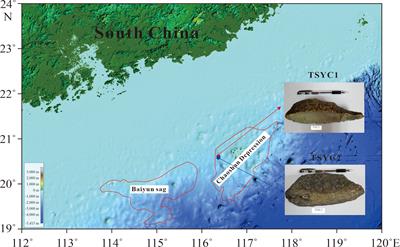 Predicting the acoustic characteristics of seafloor sediments containing cold spring carbonate rocks